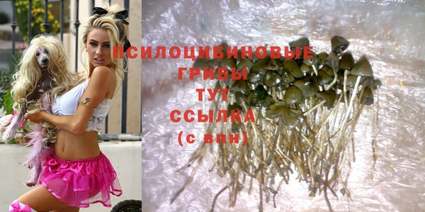 MDMA Белокуриха