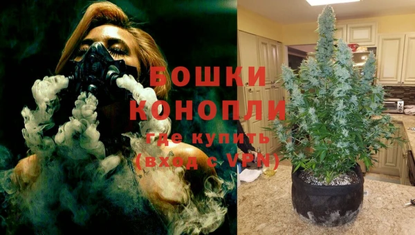 прущие грибы Белоозёрский