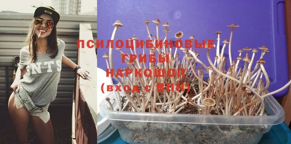 прущие грибы Белоозёрский
