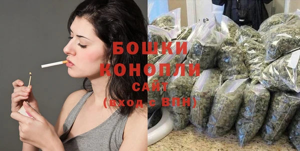 прущие грибы Белоозёрский